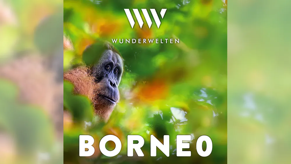 WunderWelten: Borneo - Dschungelleben