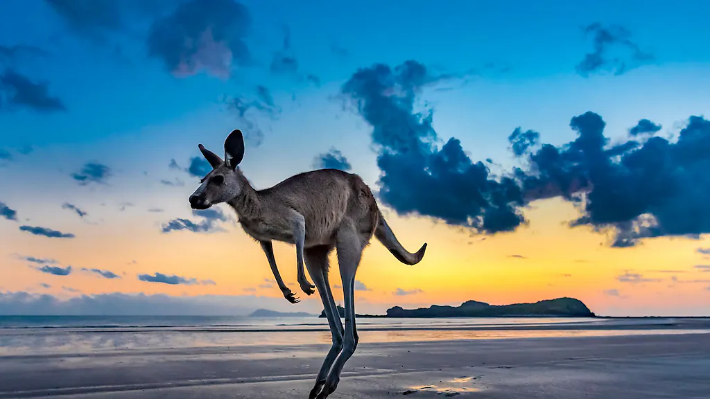 Australien - Ein Jahr grenzenlose Freiheit