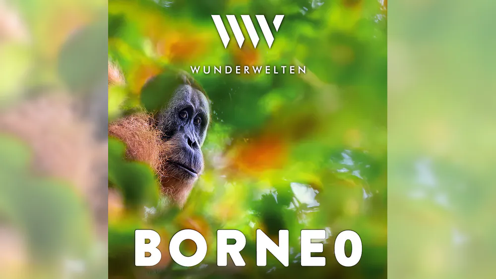 WunderWelten: Borneo - Dschungelleben