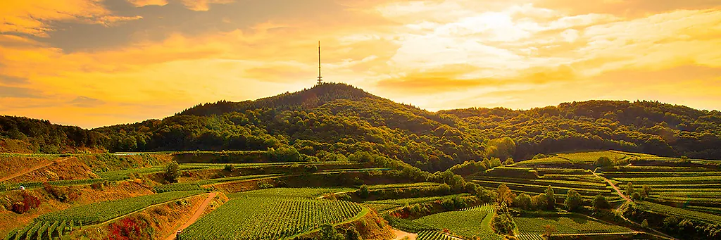 Kaiserstuhl [Foto: BZ.medien GmbH & Co. KG]