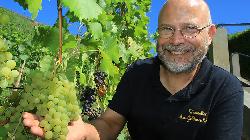 Brot & Wein - moderierte Verkostung - 5 sächsische Weine treffen außergewöhnliche Brote