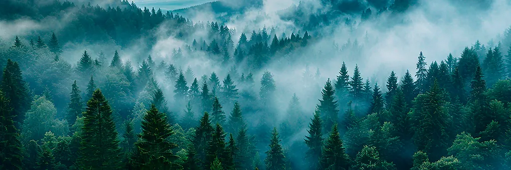 Hochschwarzwald [Foto: BZ.medien GmbH & Co. KG]