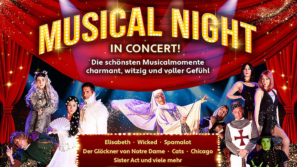 Musical Night in Concert