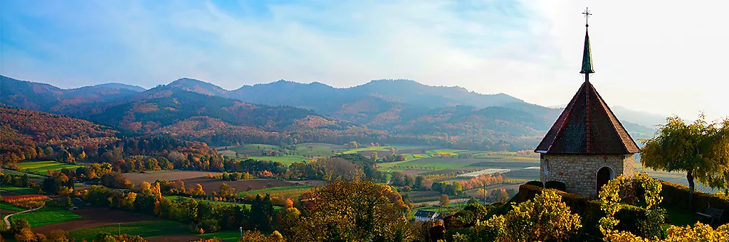 Markgräflerland [Foto: BZ.medien GmbH & Co. KG]