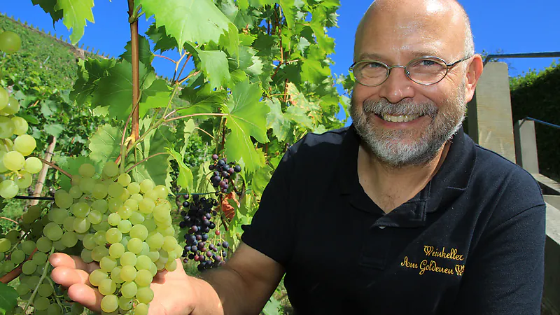 Kleine Weinbergwanderung - mit moderierter 4-Weinprobe durch die Radebeuler Weinberge für 3h