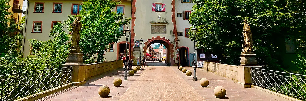 Waldshut [Foto: BZ.medien GmbH & Co. KG]