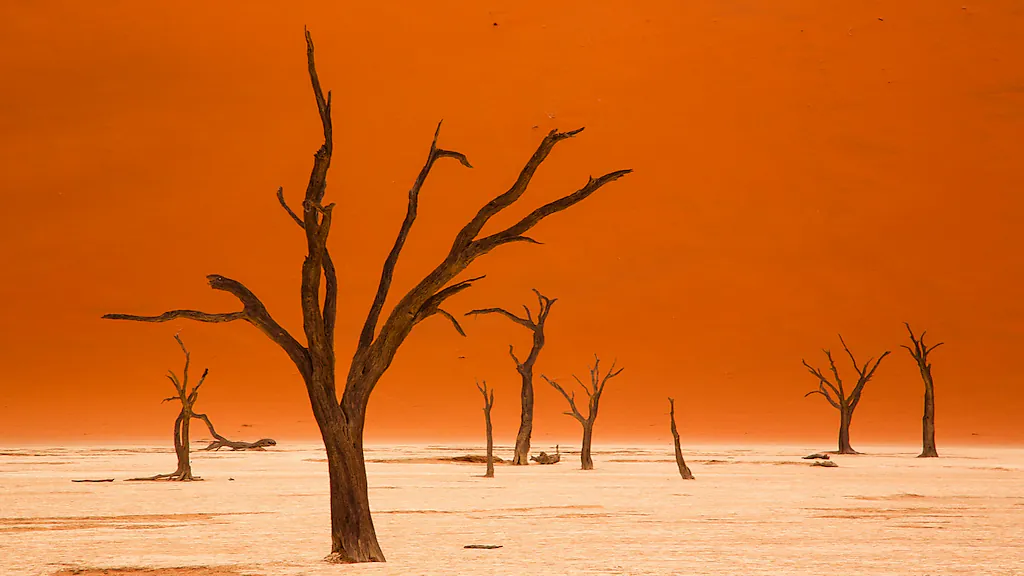 Namibia - Die Schönheit Afrikas - Eine Live-Reportage von Andreas Huber