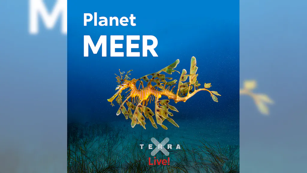 Planet Meer - Terra X Live