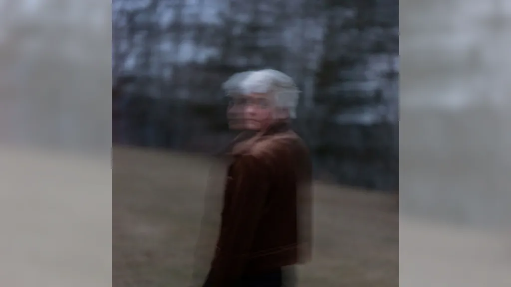 elie zoé - Shifting Forms