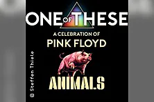 One Of These A celebration of Pink Floyd