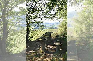 Bassgeigenhütte (Oberbergen)