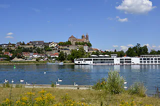 Rheininsel