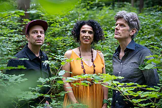Paula Morelenbaums „Bossarenova Trio“ - Levitar