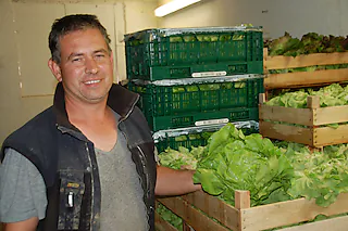 Gemüsekultur Leimenstoll