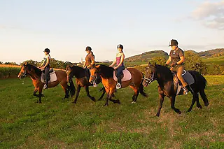 <ONBU>Reitanlage Castellberg, Ballrechten-Dottingen</ONBU>Reitanlage Castellberg, Ballrechten-Dottingen [Foto: Promotion]