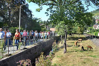 Exklusive Weinwanderung mit Speis und Trank - Exklusive kulinarische Weinführung mit moderierter 6er- Weinprobe für 5h