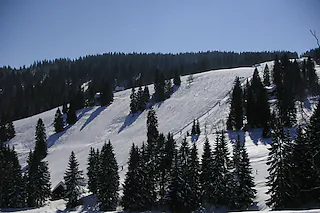 Feldberg Skifahren  Autoschlangen Schnee Wintersport Schwarzwald Tourismus Zeller Lifte [Wolfgang Grabherr]