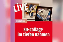 3D-Collagen im Rahmen