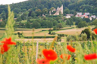 Burgruine Landeck