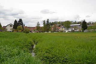 Bittenbachgelände