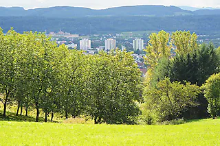 Nollinger Höhe