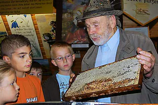 Bienenmuseum Diersburg