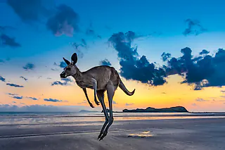 Australien - Ein Jahr grenzenlose Freiheit