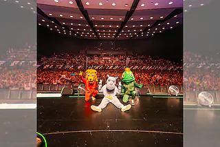 DIKKA - BOAH IST DAS KRASS TOUR 2