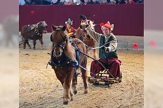 Neustädter Weihnachtsgala 2026 - Die märchenhafte Pferdeshow zum Fest!