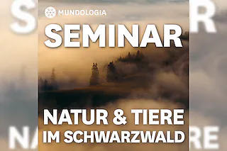 MUNDOLOGIA-Seminar: Natur und Tiere im Schwarzwald