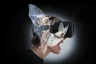 z Vg  BATVISION [Museum.BL]