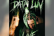 Data_Luv
