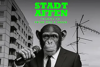 Stadtaffen - Tribute to Peter Fox & SEEED