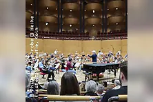 PhilharmonieProbe