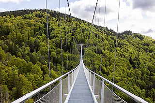 Hängebrücke Blackforestline