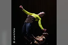 Beasts and Bodies - overhead project