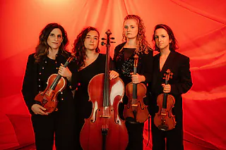 mondëna quartet