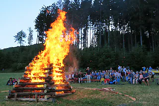 Weideschuppen (Sallneck)