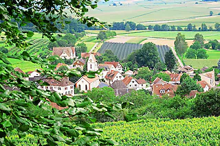 Storchendorf [Jutta Schütz]