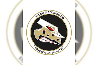 Herforder EV - TecArt Black Dragons Erfurt