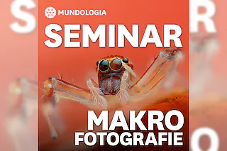 MUNDOLOGIA-Seminar: Makrofotografie