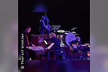 Halle Large Ensemble