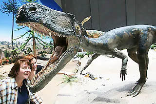 Staatliches Museum für Naturkunde am Löwentor