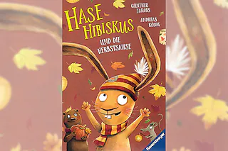 Vorlesen & mehr - Hase Hibiskus und die Herbstsause - Für Kinder von 4 bis 6 Jahren