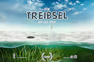 Dem Treibsel auf der Spur