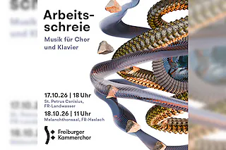 Freiburger Kammerchor - Arbeitsschreie