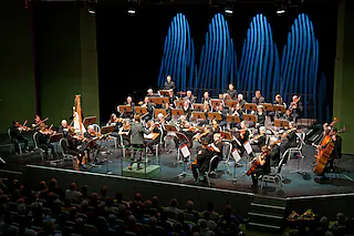 Neujahrskonzert