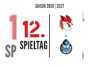 12. Spieltag: Füchse Duisburg - KSW Icefighters Leipzig