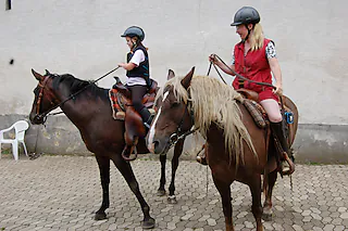 Molzenhof