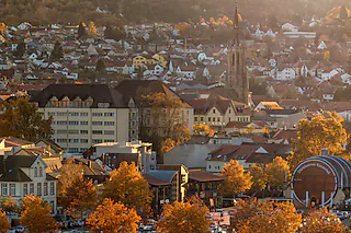 Herbstzauber: Stadtgeschichte(n), Zwiebelkuchen & Neuer Wein